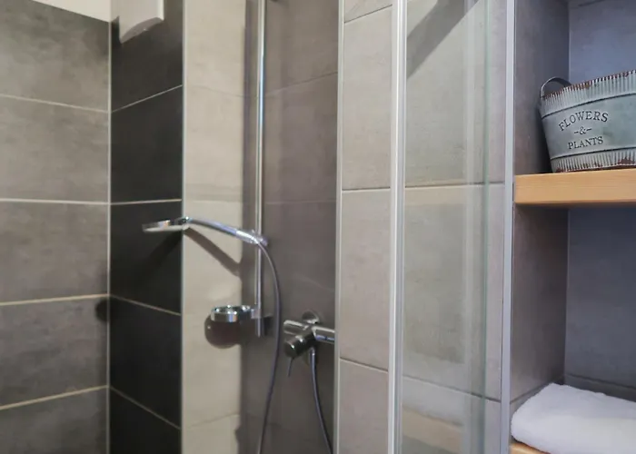 Rosablanche E003a By Interhome Siviez