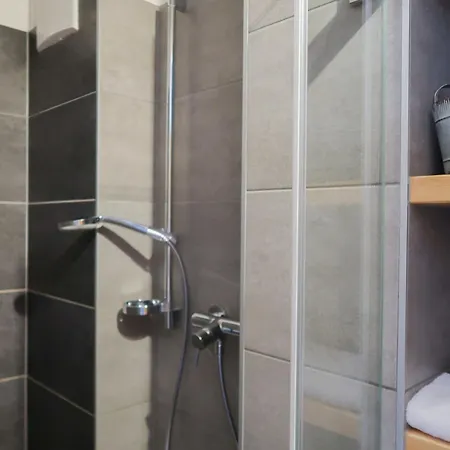 Rosablanche E003a By Interhome Siviez